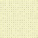 Word Search