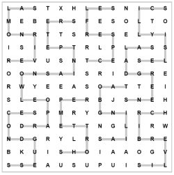 Novelty Word Search