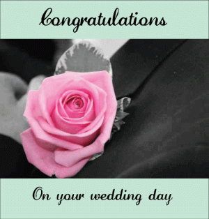 wedding invitation